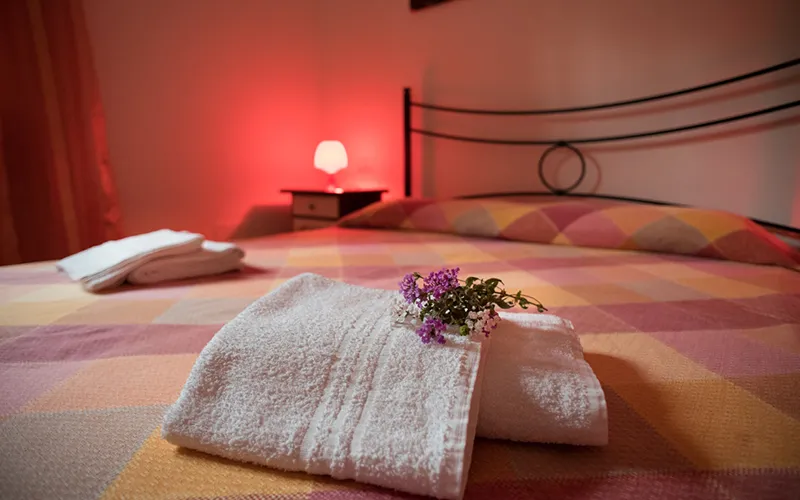 Servizi home con foto